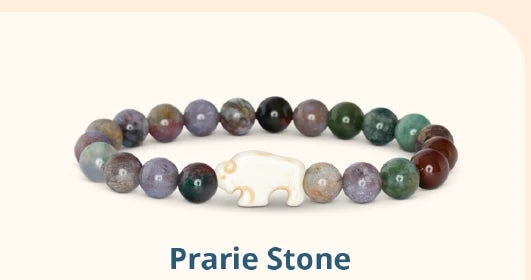 Fahlo Animal Tracking The Roam Bracelet - Bison