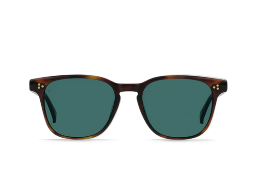 Alvez Kola Tortoise w/ Pacifica Lens