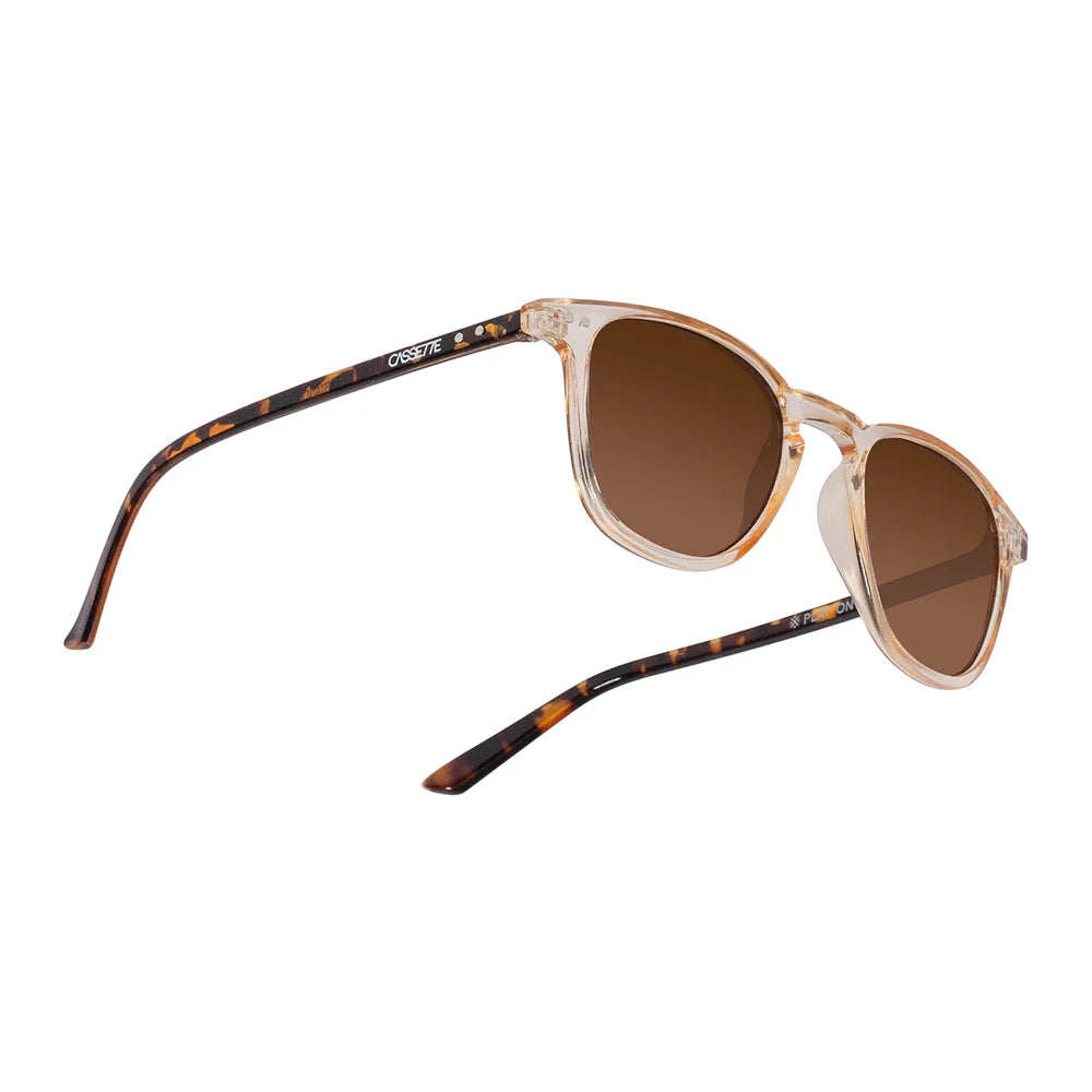 Cassette Optics Standard Sunglasses - Champagne Tortoise / Brown Lens