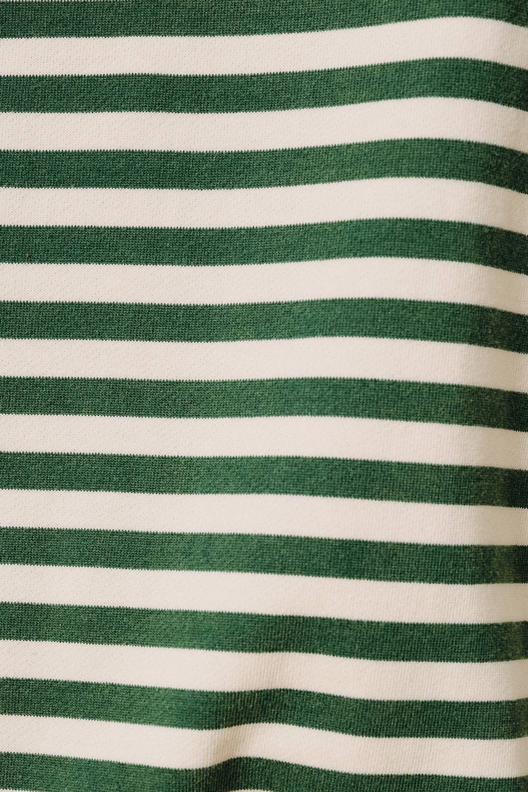 Crew Neck Long Sleeve Stripe French Terry Sweater Shirt - Green & Cream Stripe