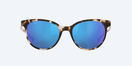 Isla Shiny Tiger Cowrie w/ Blue Mirror 580G