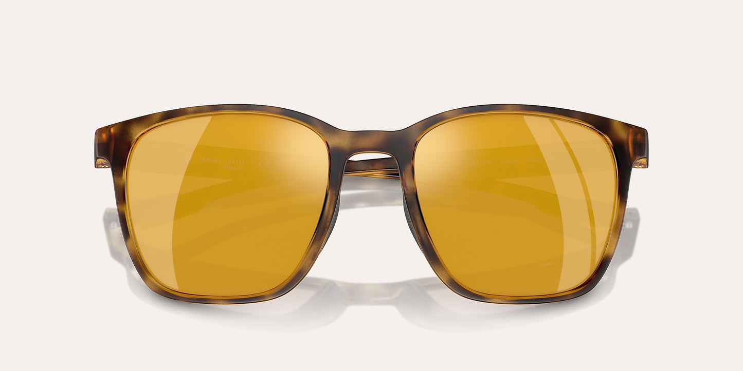 Targhee Square Matte Tortoise w/ Bronze Relfex Polarized