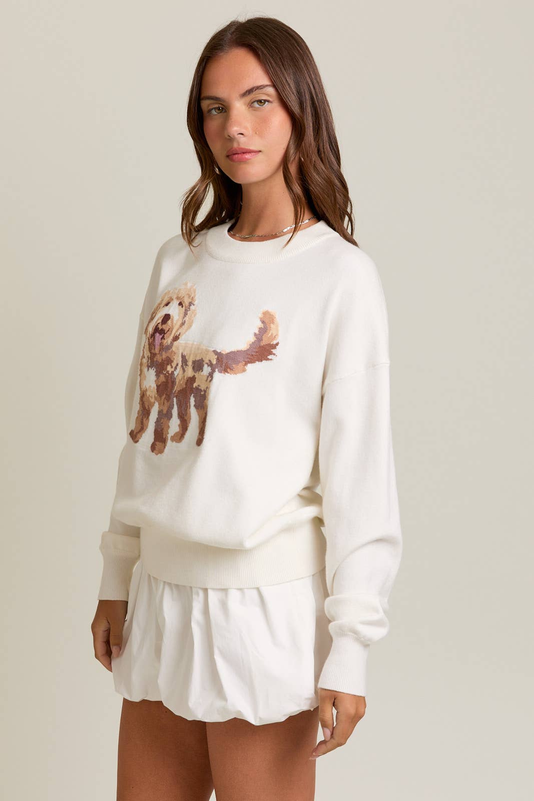 Puppy Sweater