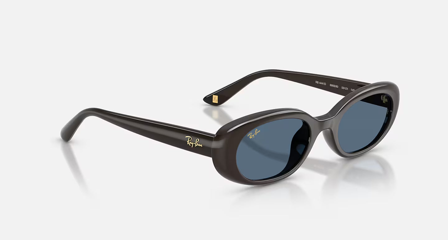 RB4441D Year of the Horse Limited Edition Full Dark Brown w/ Dark Blue Lens