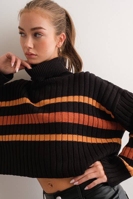 Striped Turtleneck Sweater - Black Multi