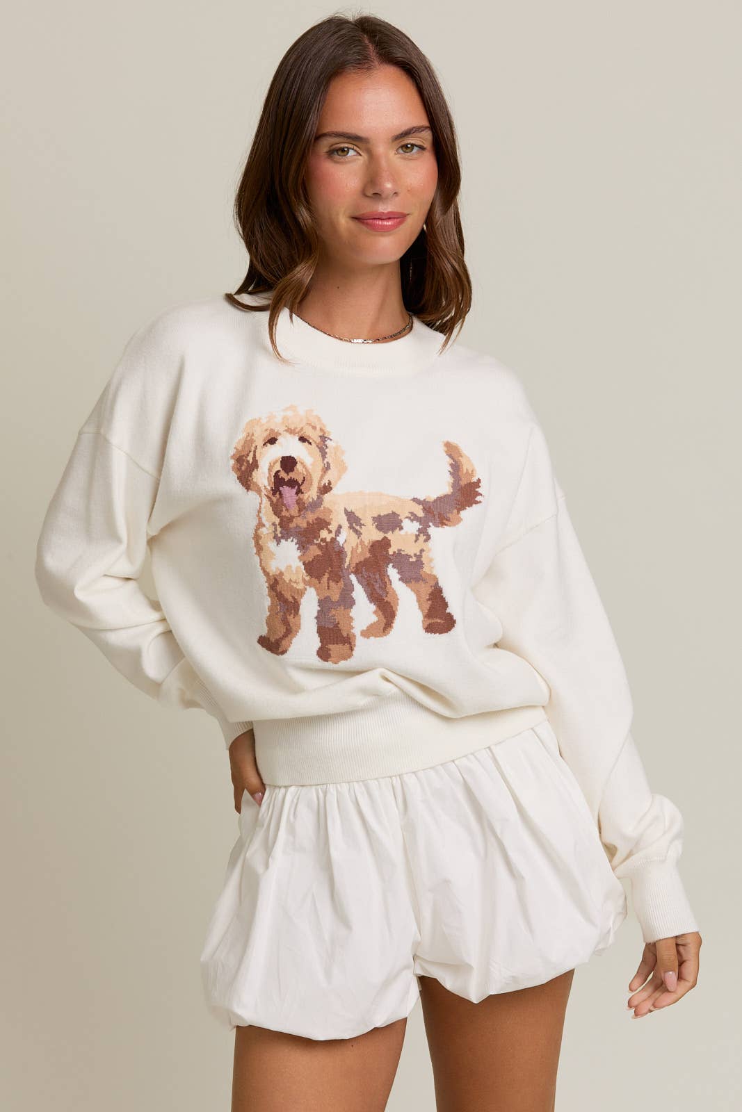 Puppy Sweater