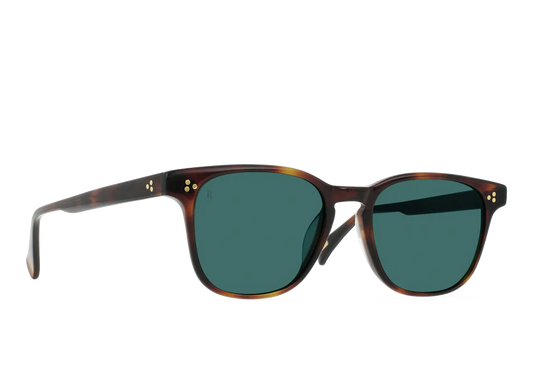 Alvez Kola Tortoise w/ Pacifica Lens
