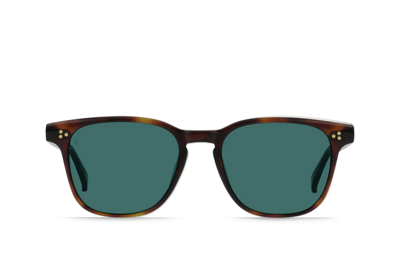 Alvez Kola Tortoise w/ Pacifica Lens