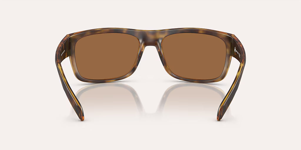 Ashdown Matte Tortoise w/ Bronze Reflex