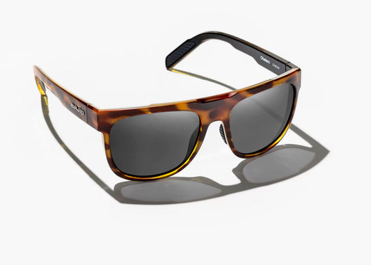 Chelem Brown Tortoise Gloss / Grey Polycarbonate