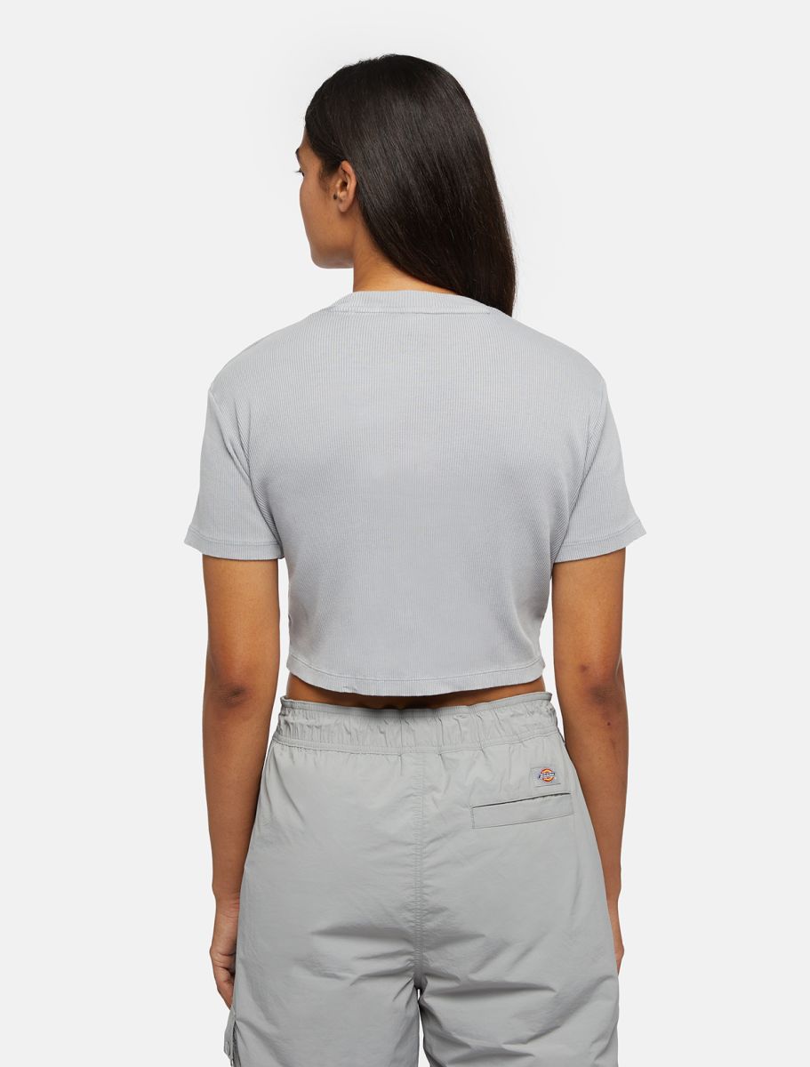 Dickies Women's Plentywood Cropped Tee