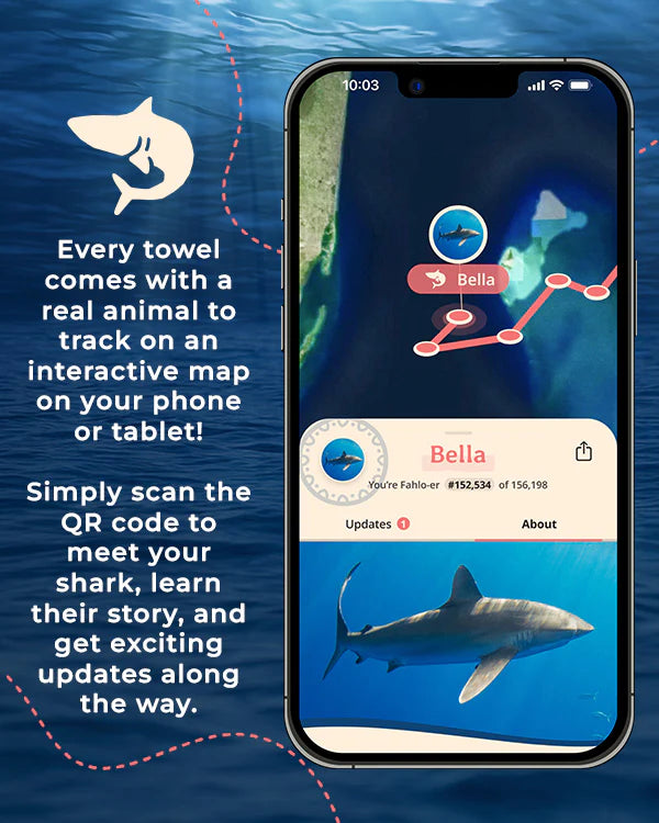 Sand Cloud Voyage Shark - Large - Fahlo