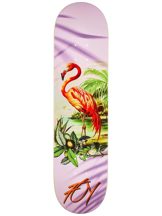 Deathwish Jaime Foy Greetings From Florida Flamingo Deck 8.0