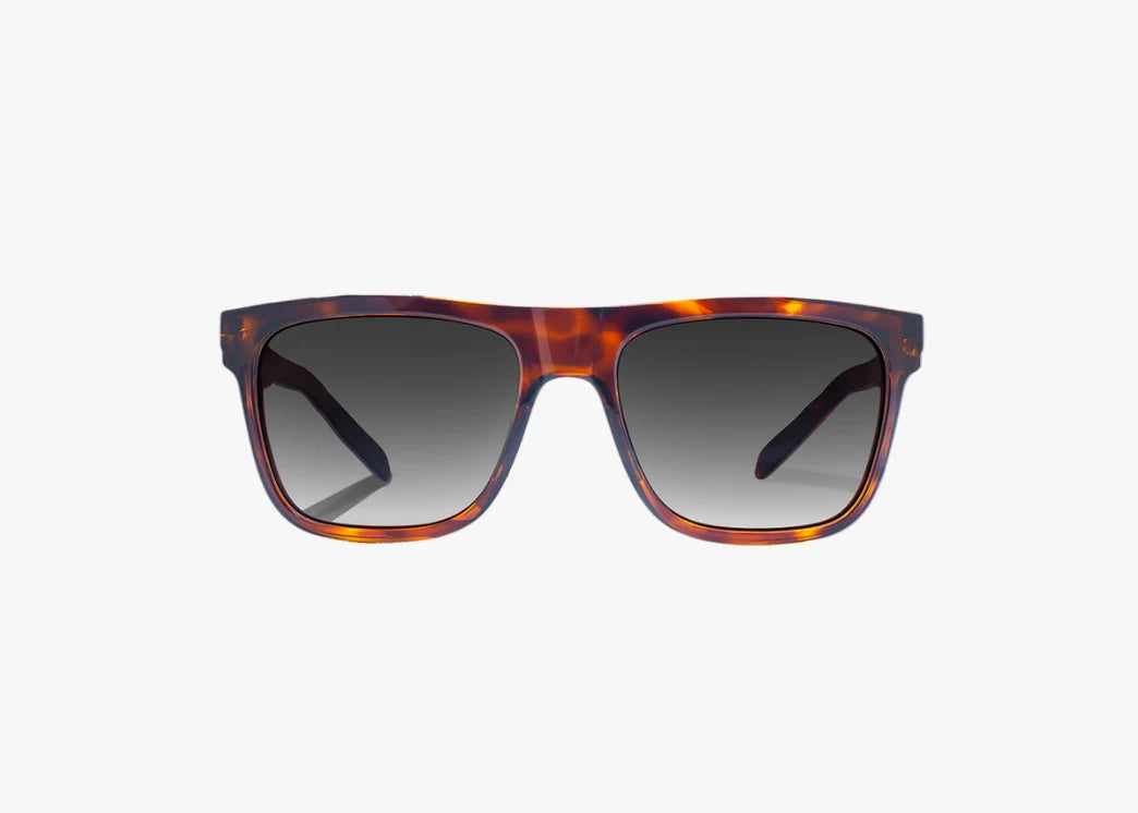 Hopedale Brown Tortoise Gloss / Grey Gray Polycarbonate