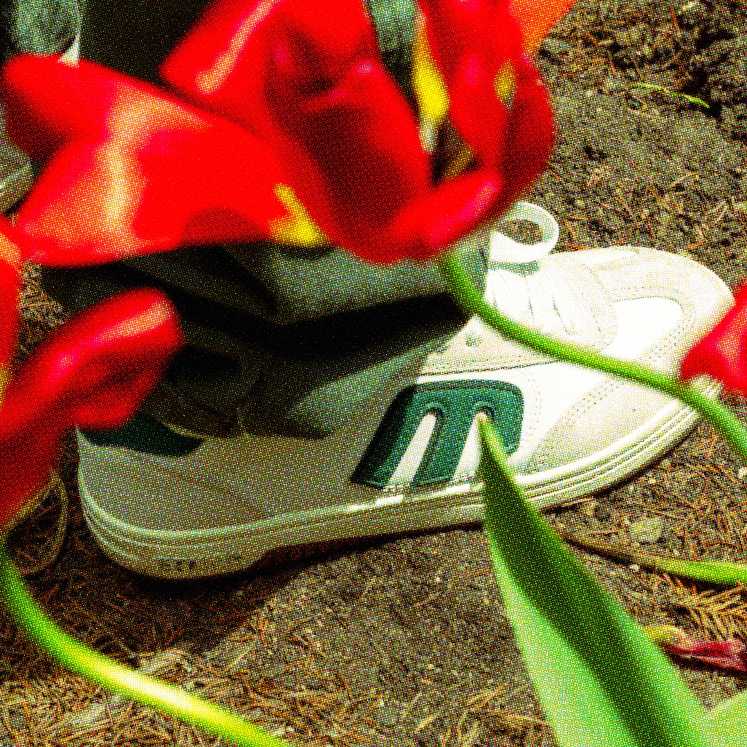 Etnies Locut x Andy Anderson - White / Green