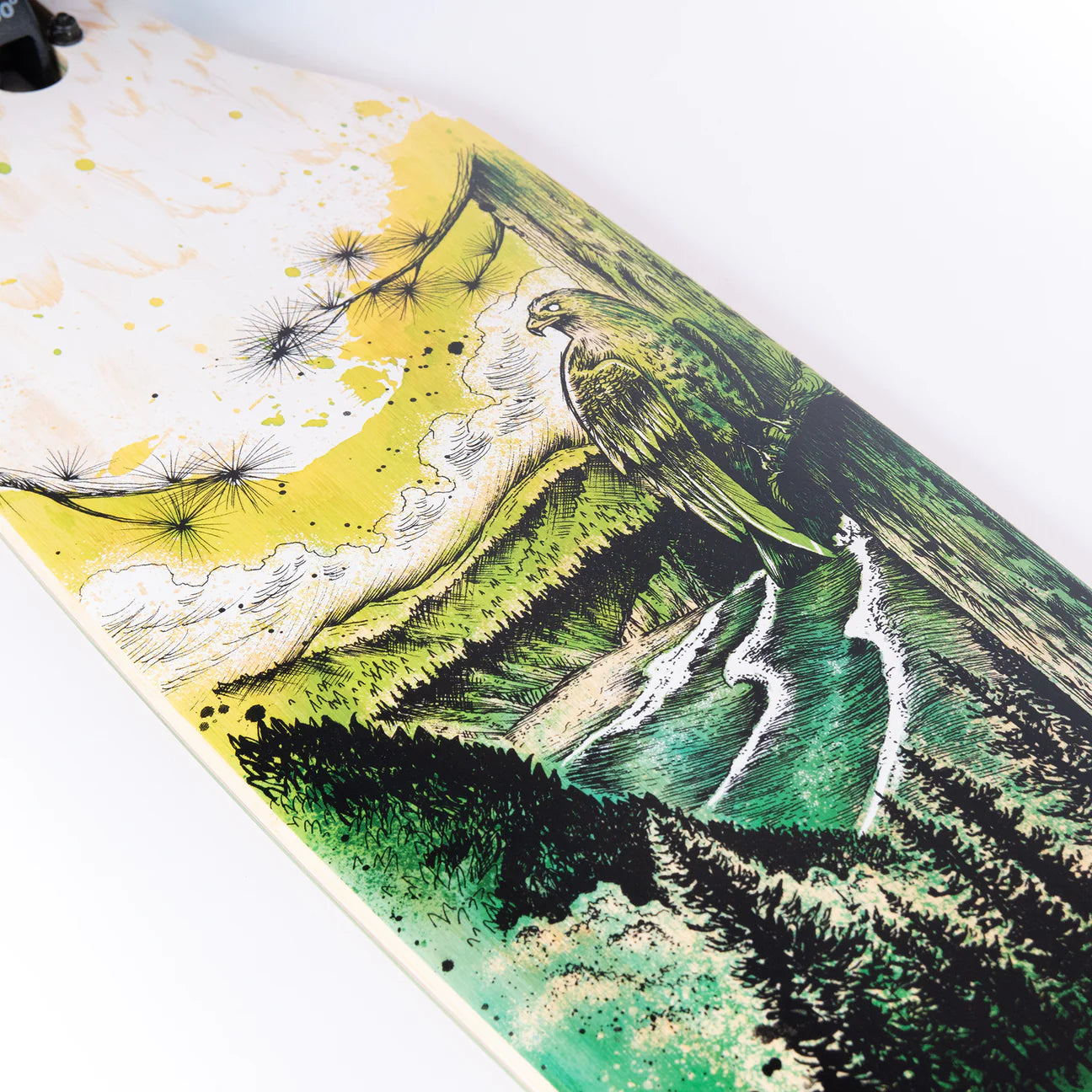 Lookout Talon Complete Drop Thru Longboard