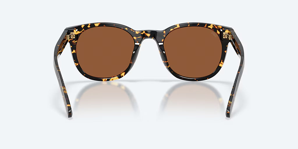 Middles Tortoise w/ Copper 580G