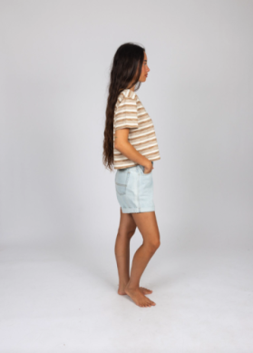 Penny Space Dye Striped Crop Tee - Tan