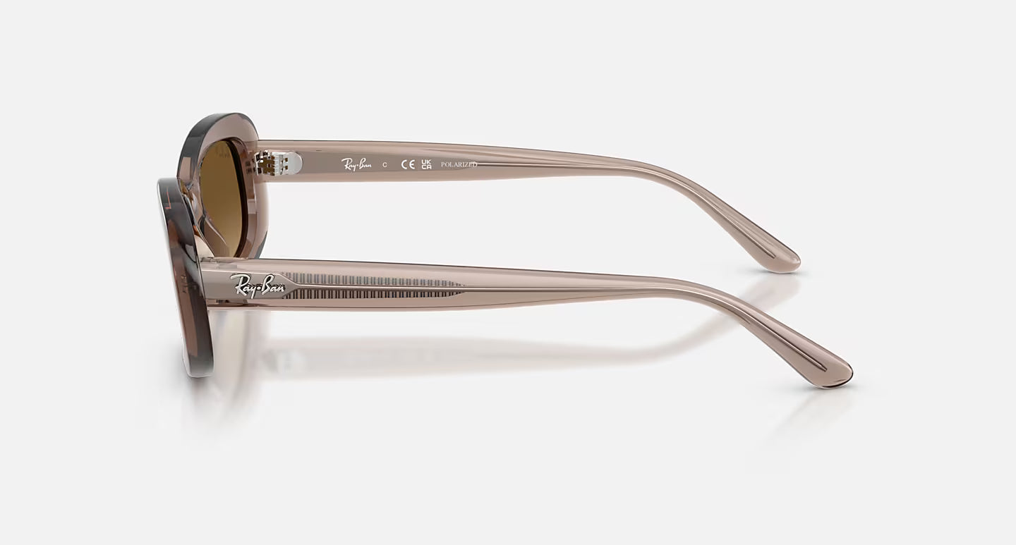 RB2221 Transparent Beige w/ Gradient Brown Polar