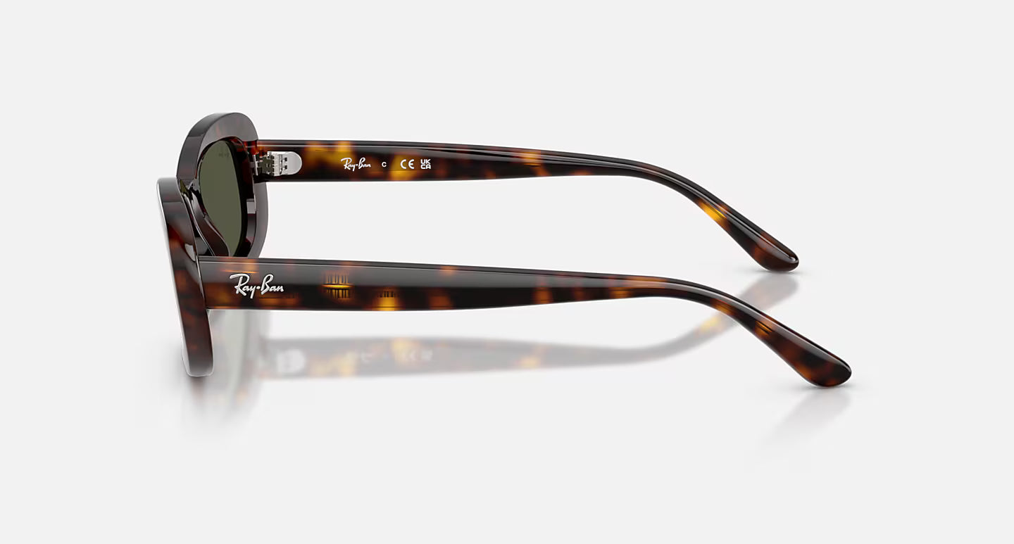 RB2221 Polished Havana w/ Green Lens