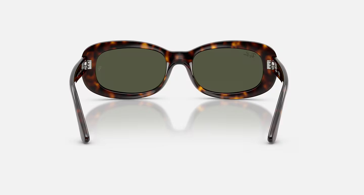 RB2221 Polished Havana w/ Green Lens