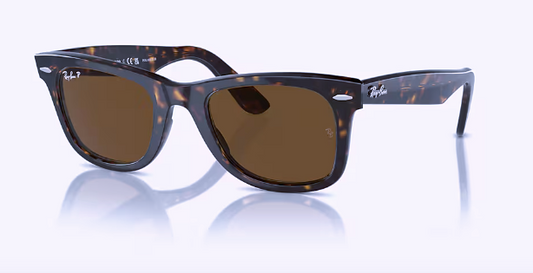 Wayfarer Tortoise w/ Brown Polarized