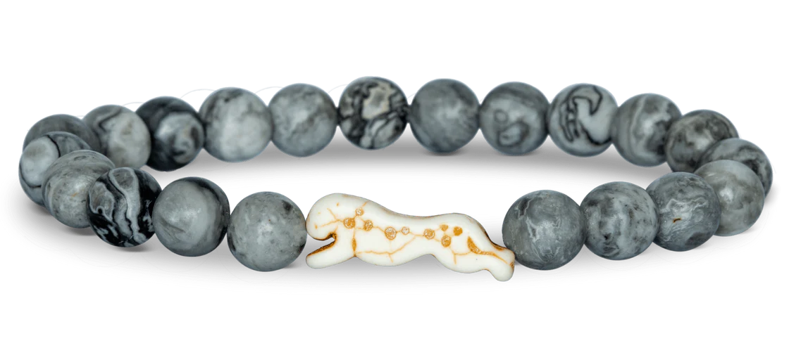 Fahlo Animal Tracking The Sprint Bracelet - Cheetah