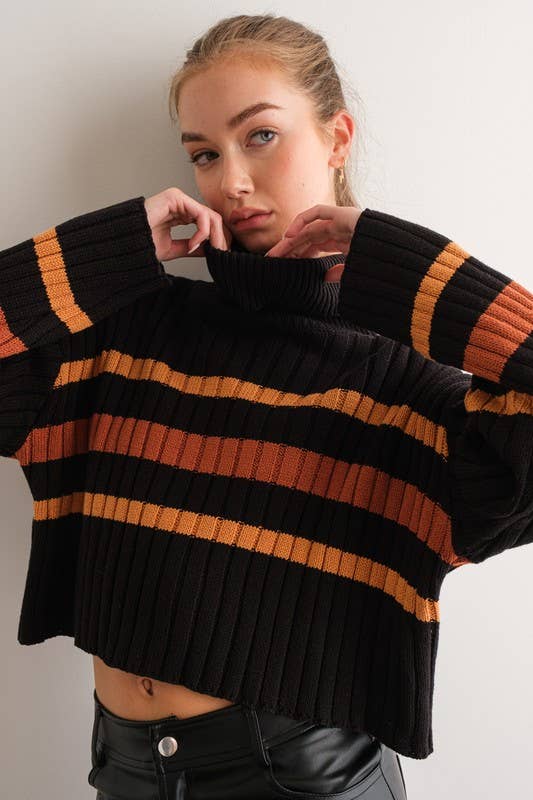 Striped Turtleneck Sweater - Black Multi