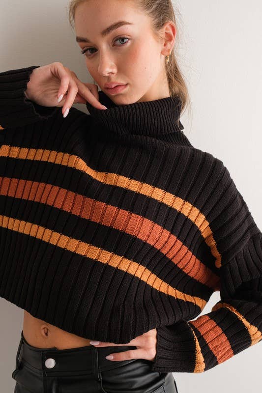 Striped Turtleneck Sweater - Black Multi